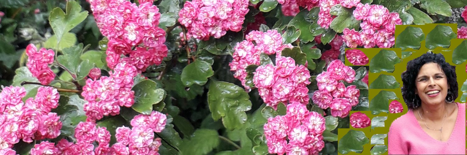 JanChoudhury's profile banner image
