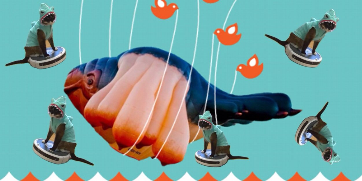 CanberraMemes banner