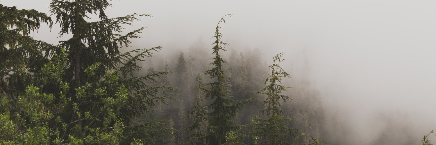 minimaluminium's profile banner image