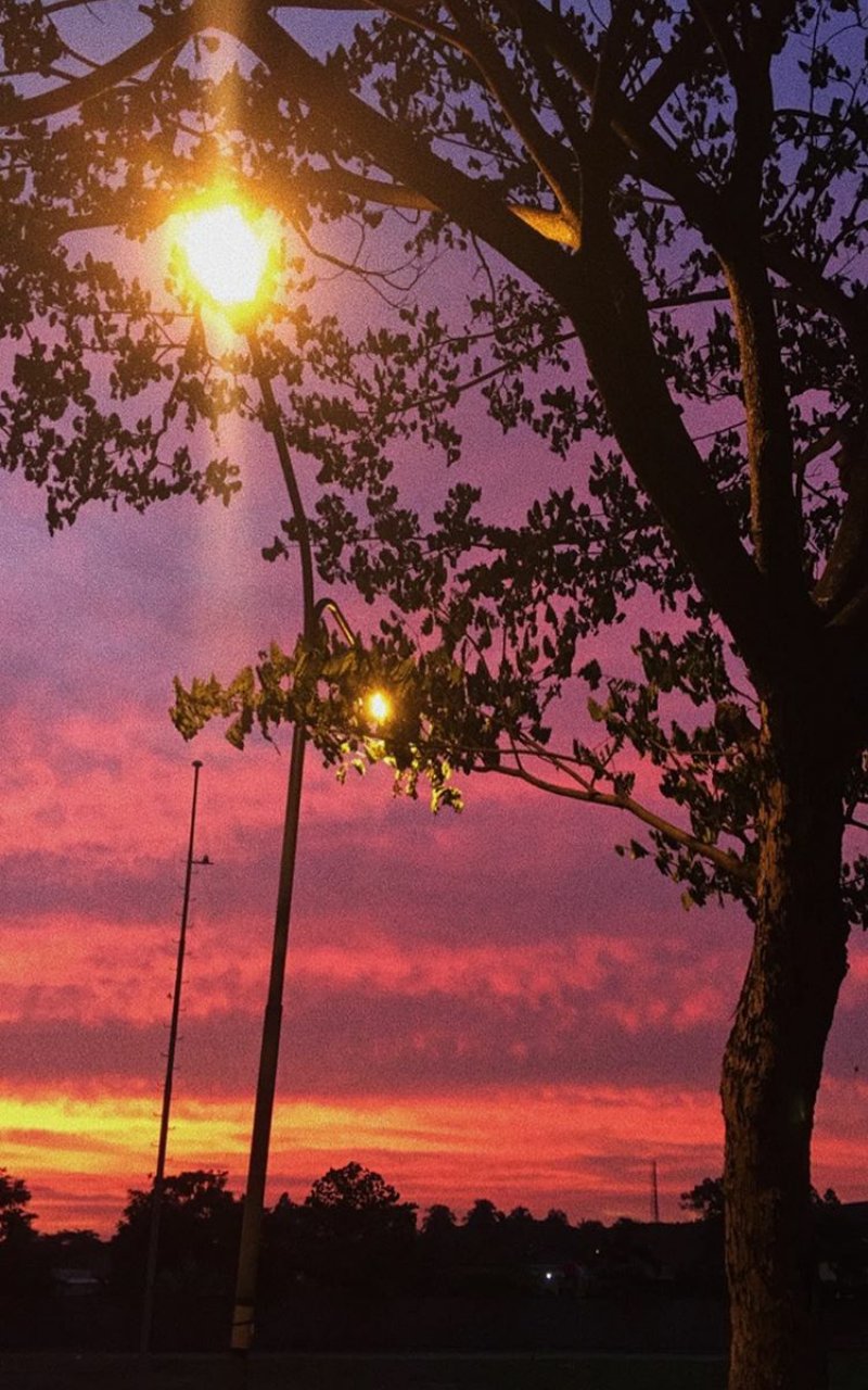 SittaaChan's profile banner image