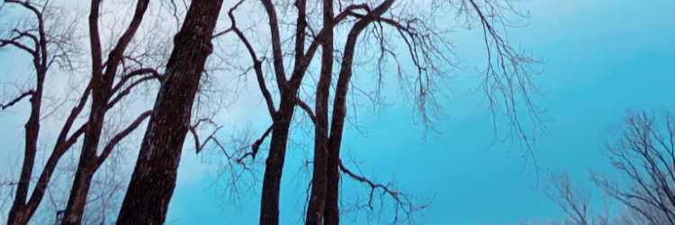 benjamind's profile banner image