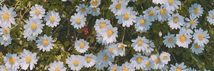 ai_lee38's profile banner image