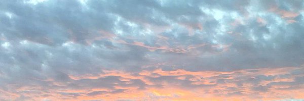 stewart Profile Banner