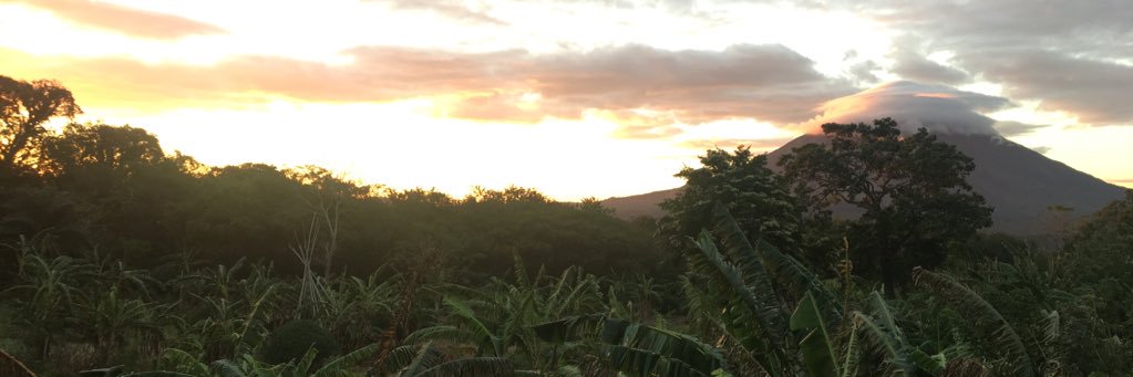 seriouslybass's profile banner image