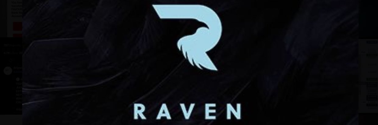 TheRAVEN 𓅃 banner