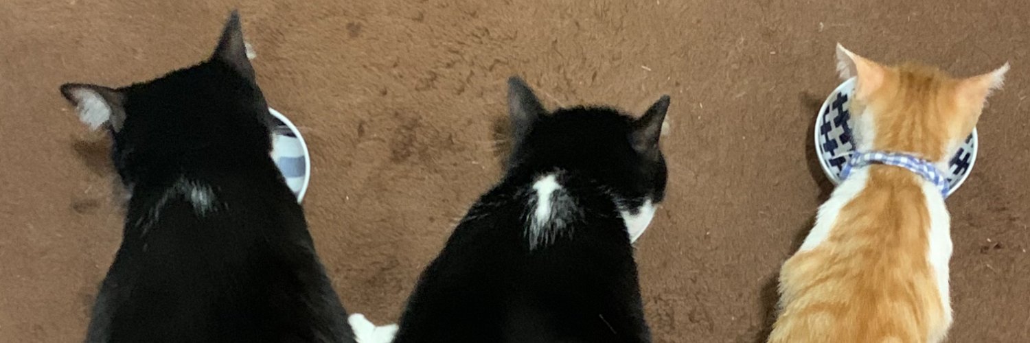ranpie's profile banner image