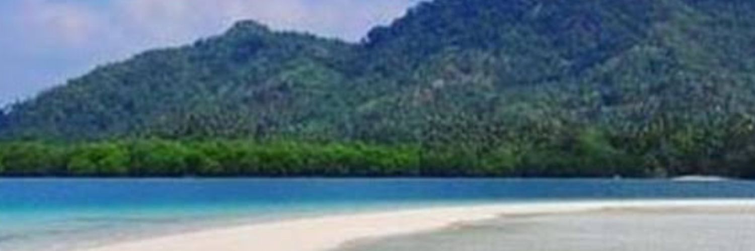 williamcsemuel's profile banner image