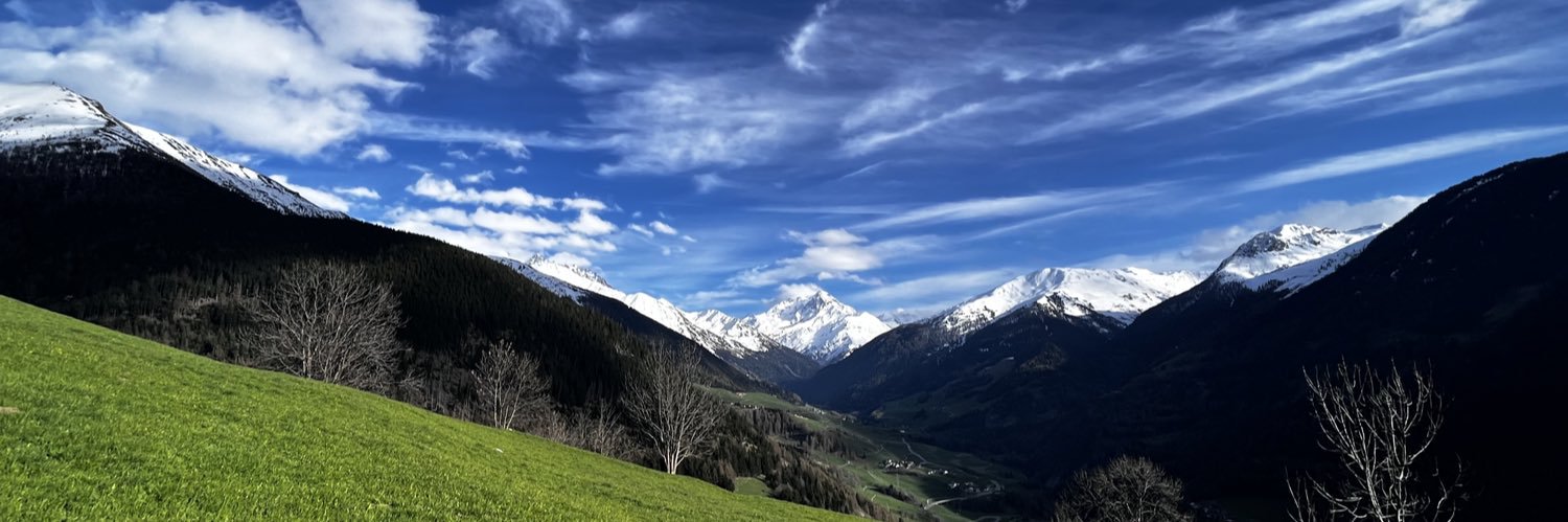 Georg Schmitt banner