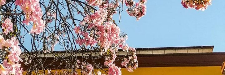 Frawmber's profile banner image