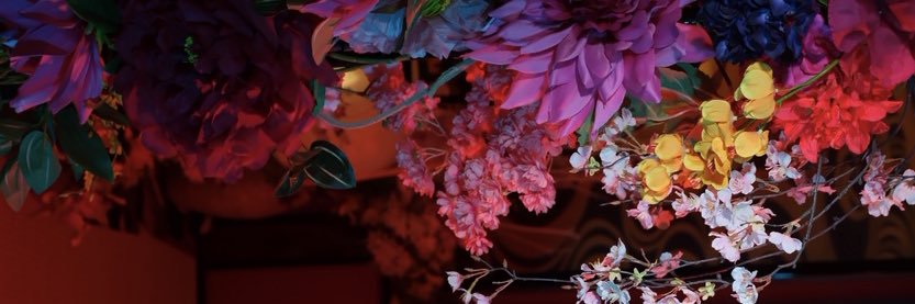 世古 美月 フルート奏者 banner