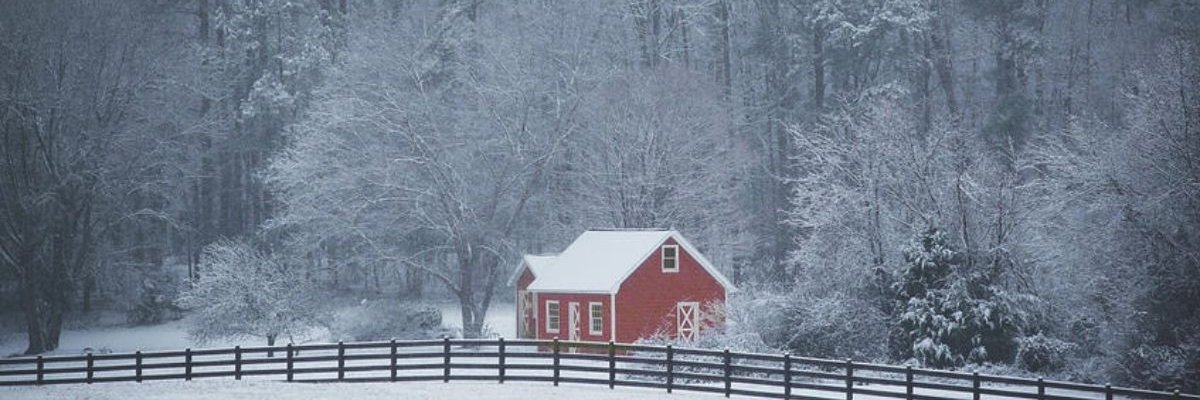 debsdistwit's profile banner image