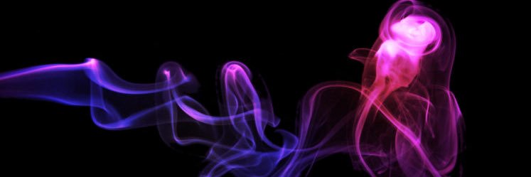 thelildvo's profile banner image
