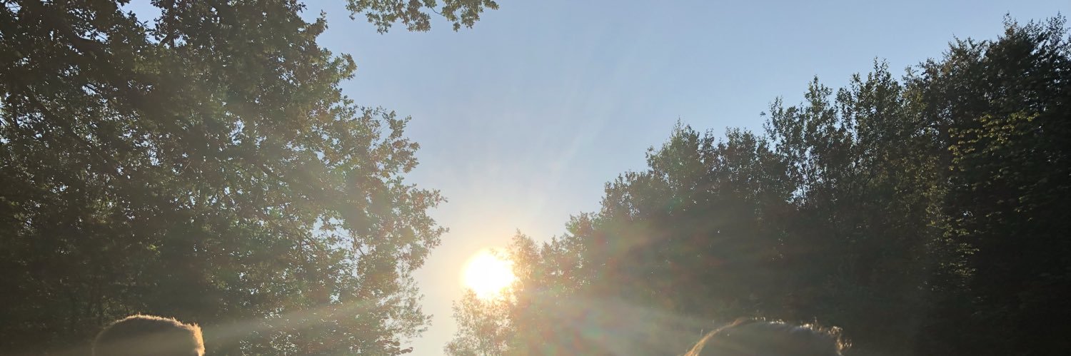 ingerutsaert's profile banner image