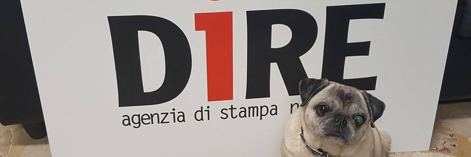 Emilia Vitulano banner