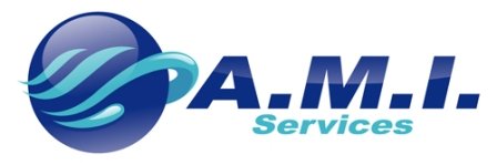 amiservices's profile banner image