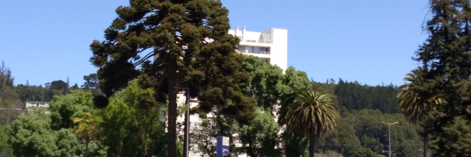MarceMonte banner