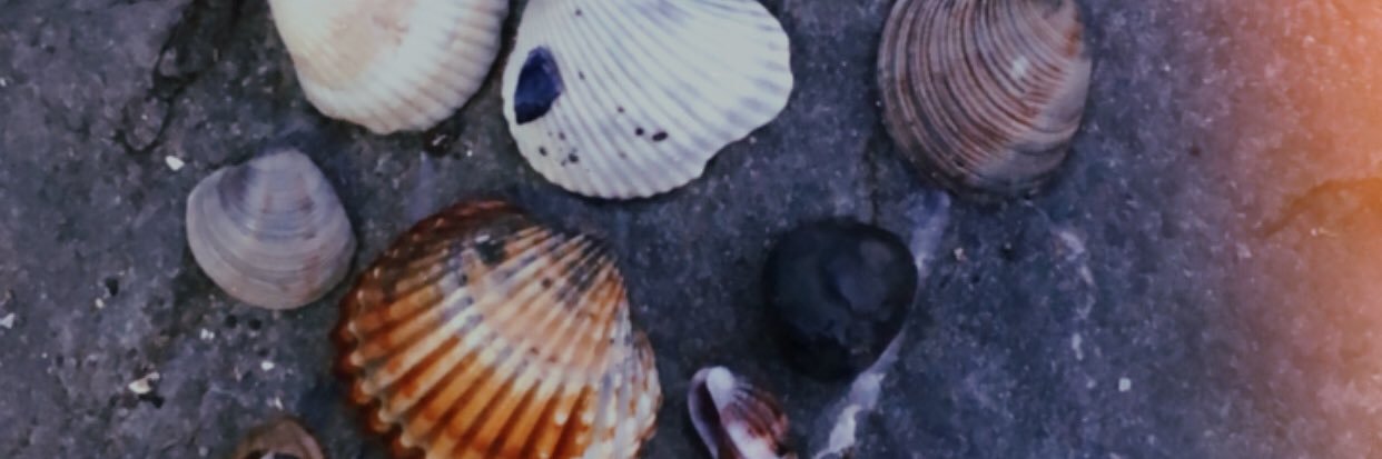 Eyleemcck's profile banner image