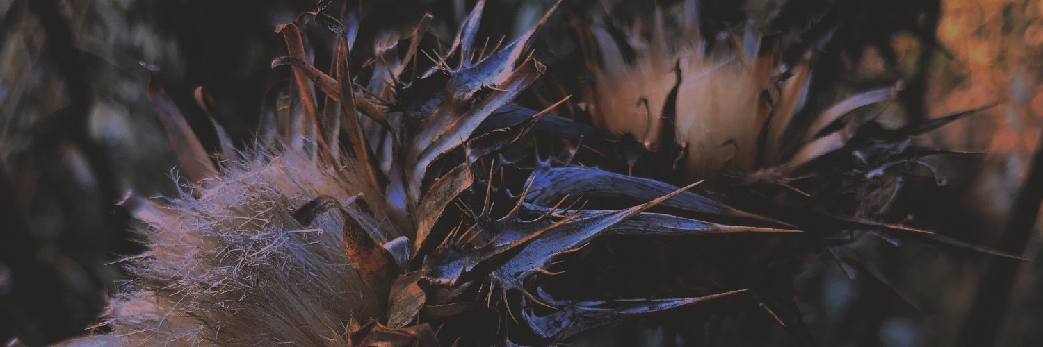 CarlaFender21's profile banner image
