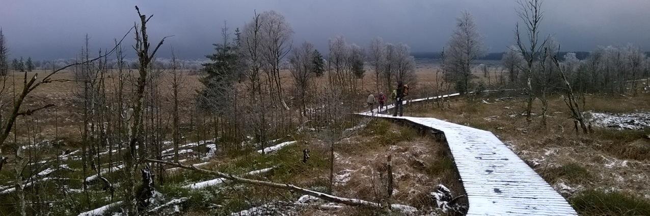 Christophe VDM banner