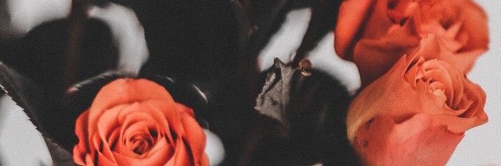 ✖ banner