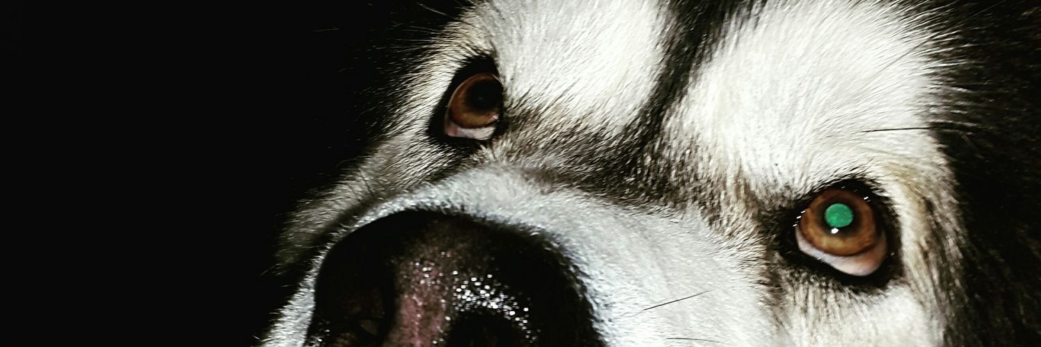 javi_drops's profile banner image
