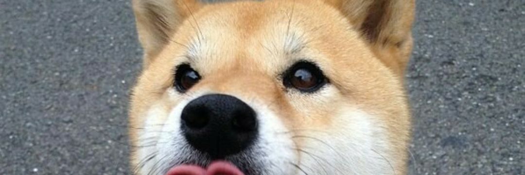 xlukaaa_x's profile banner image