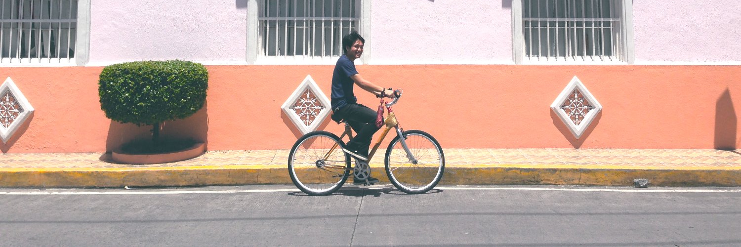 Ron Puno banner