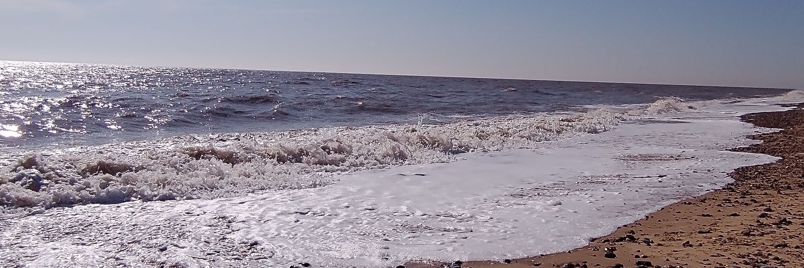 Paul Stebbings banner