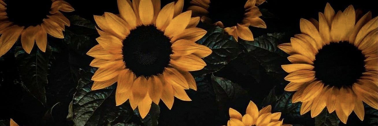 its_sunflower banner