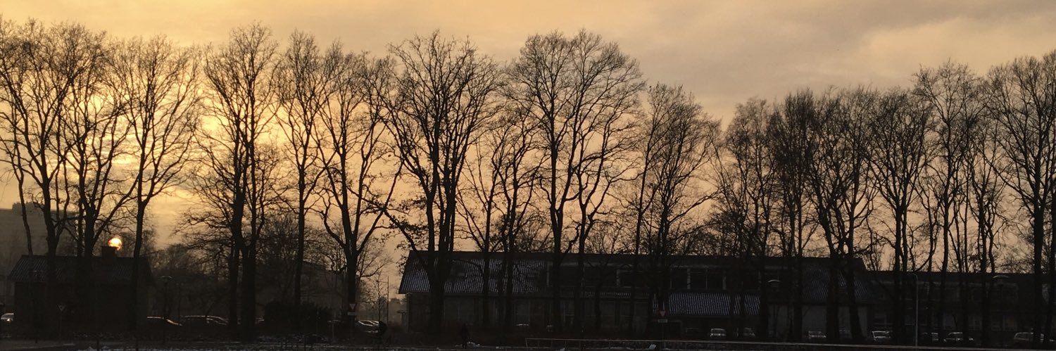 arinayeah's profile banner image
