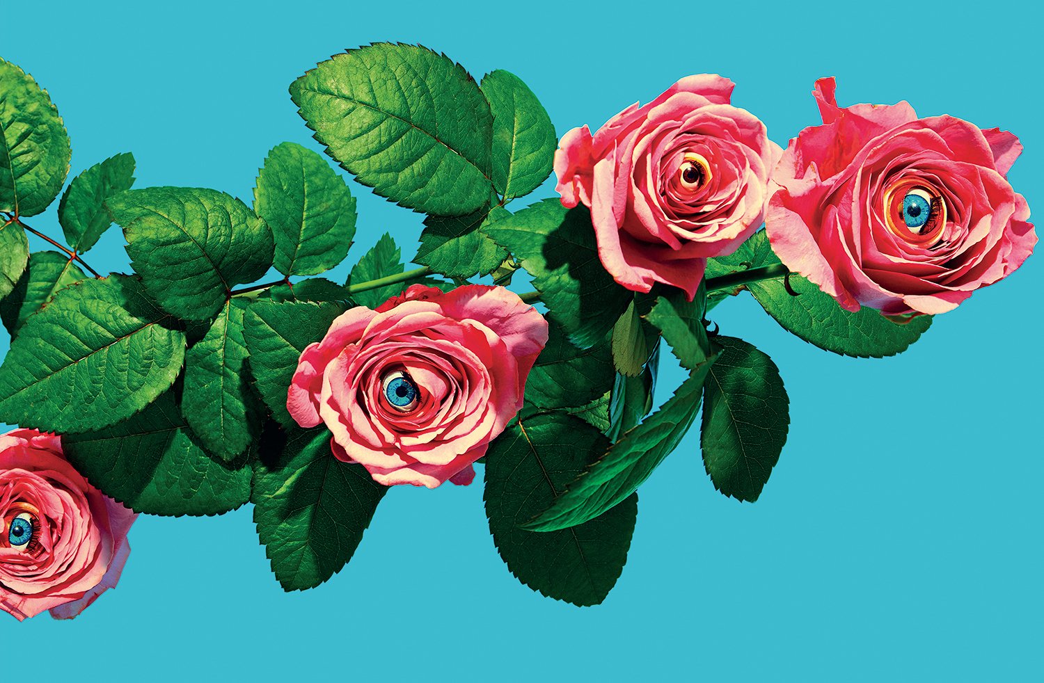 Clemenceee_M's profile banner image