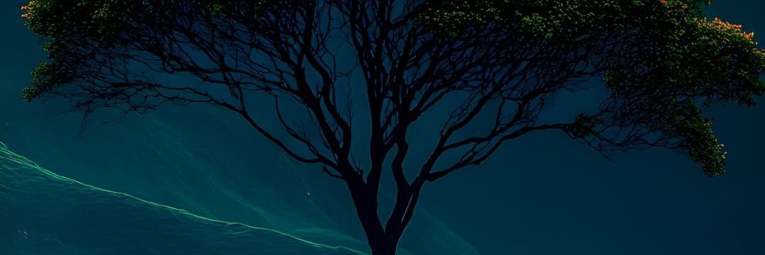 TonyLopezNav's profile banner image