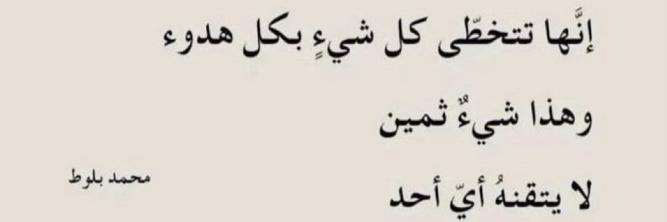 shodi_50's profile banner image