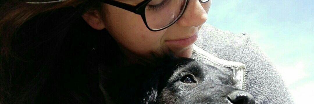 lucypardo6's profile banner image