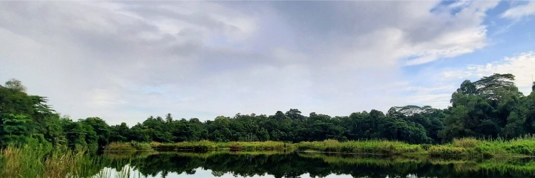 kai_scene's profile banner image