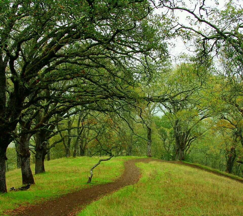 Apphia Ndungu banner