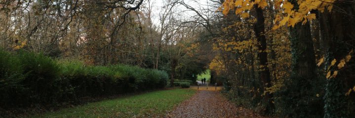 🌾VaSiMok🐡 banner