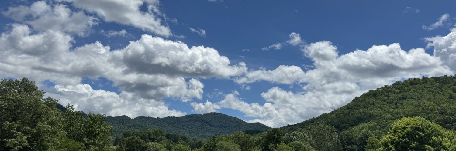 🇺🇸 Ruby Lane banner