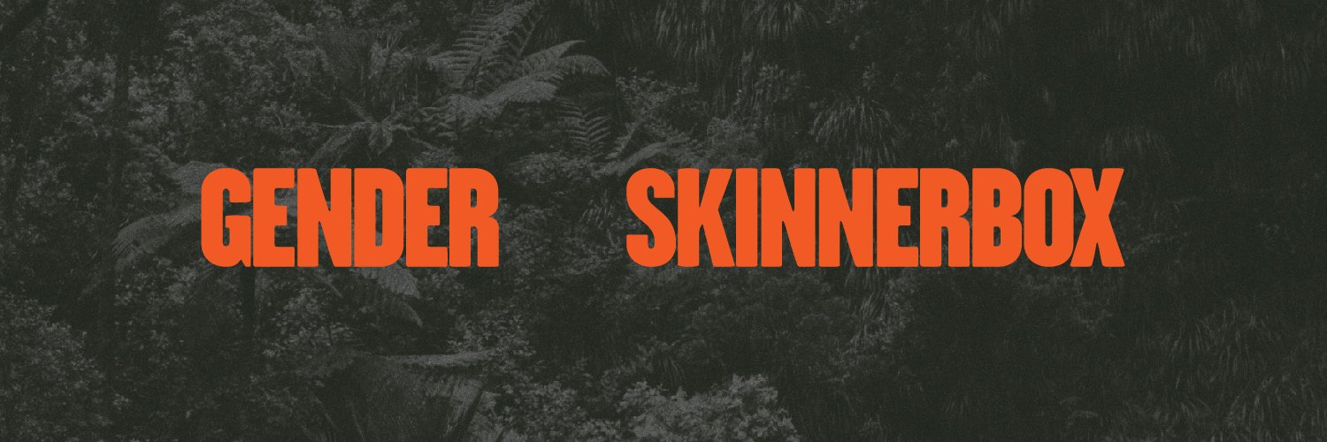skinnerbox bpc banner