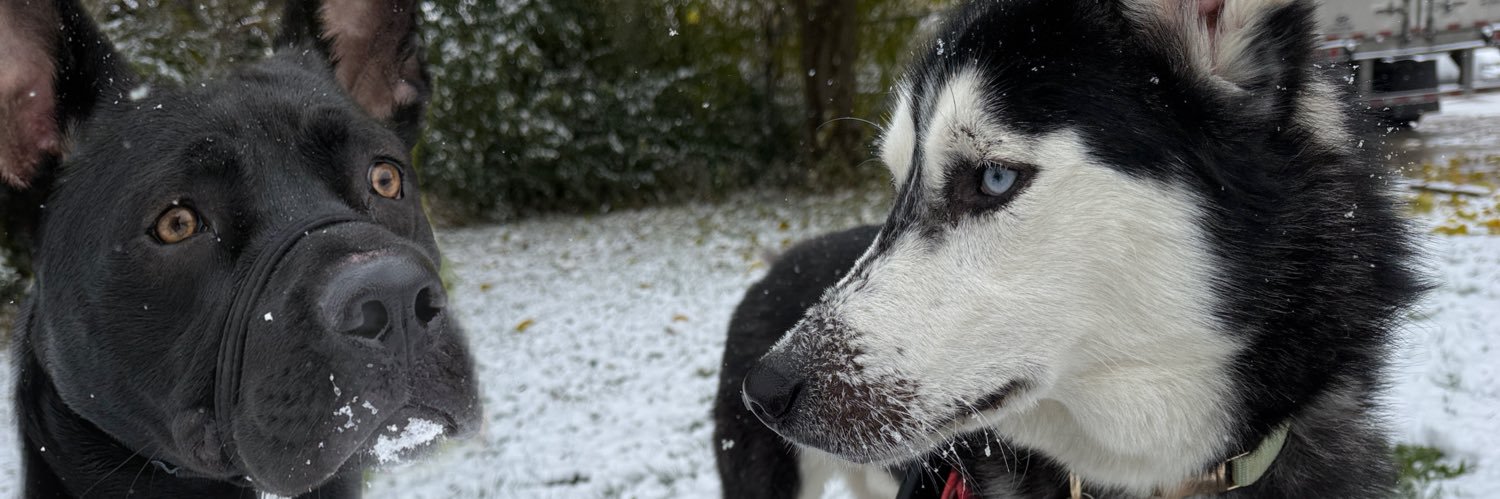 Eleazar🇨🇺 banner