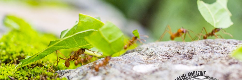 ImmersionTravel's profile banner image