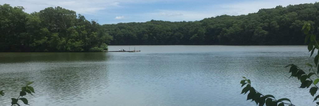DLovekamp's profile banner image