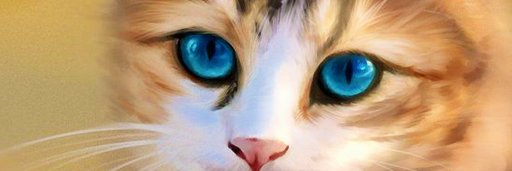 letishile's profile banner image