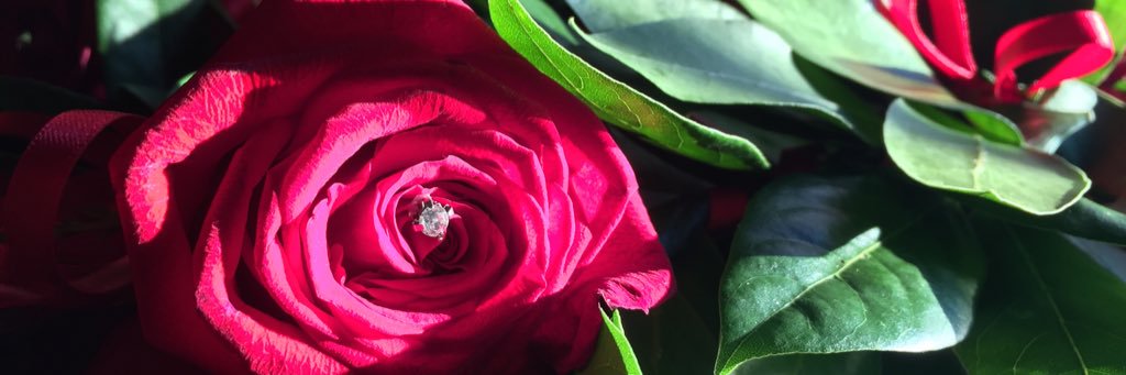 peretti_giulia's profile banner image