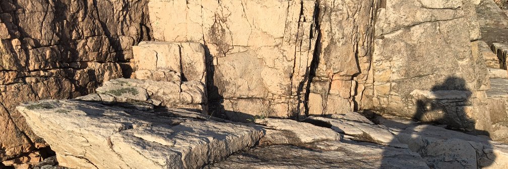 Sheila Hansen banner