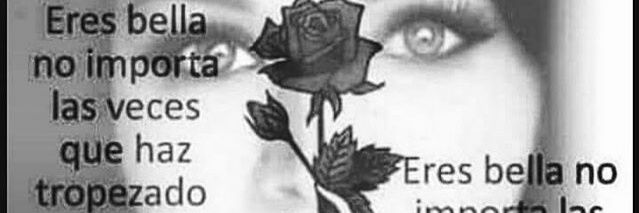 sandraordaz2's profile banner image