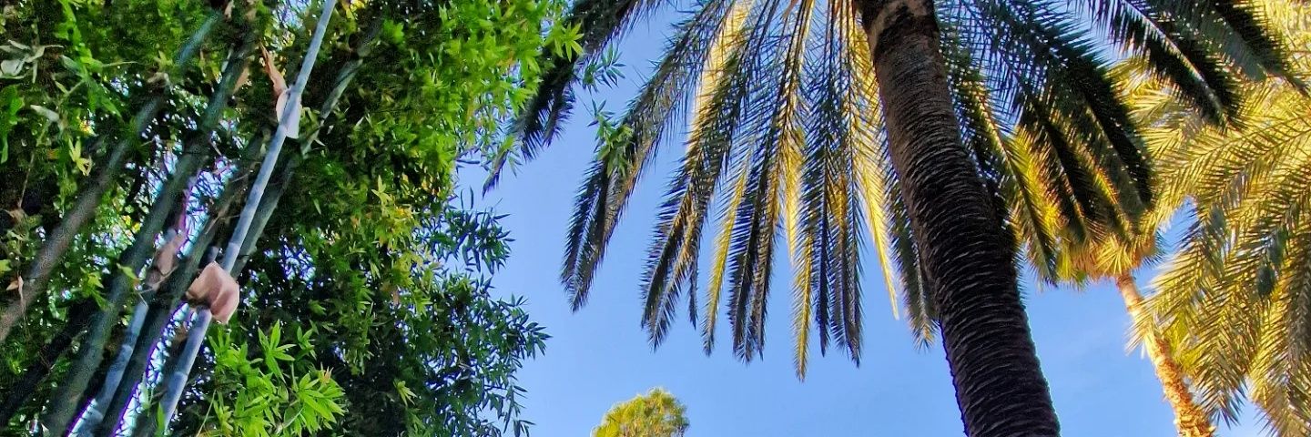 Olu__funsho's profile banner image