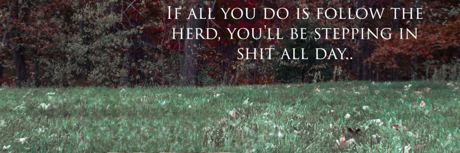 followingN_A's profile banner image