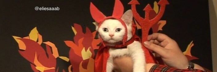 Fus ro fuckyourself 💀 banner