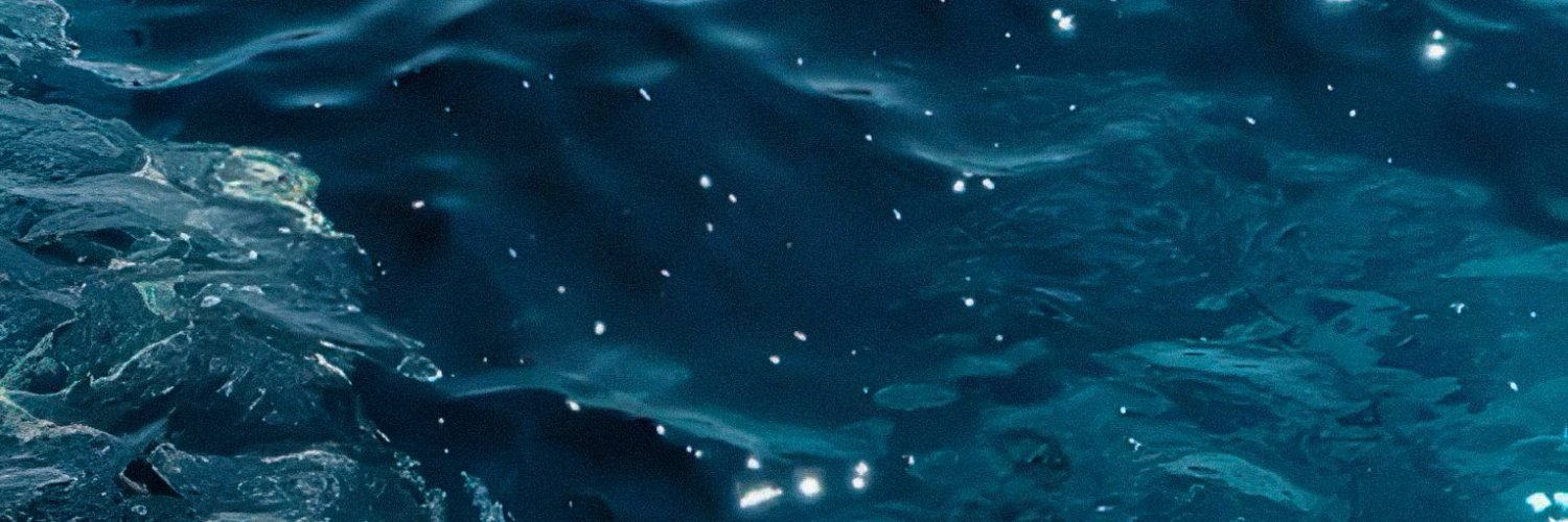 itslalablush's profile banner image